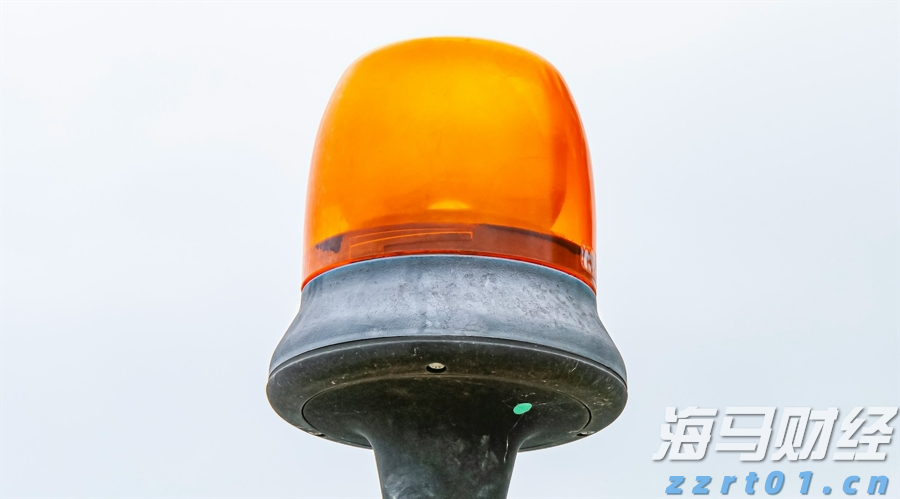 白羽鸡苗价格在一个月内上涨180%：是趋势逆转还是短暂现象？